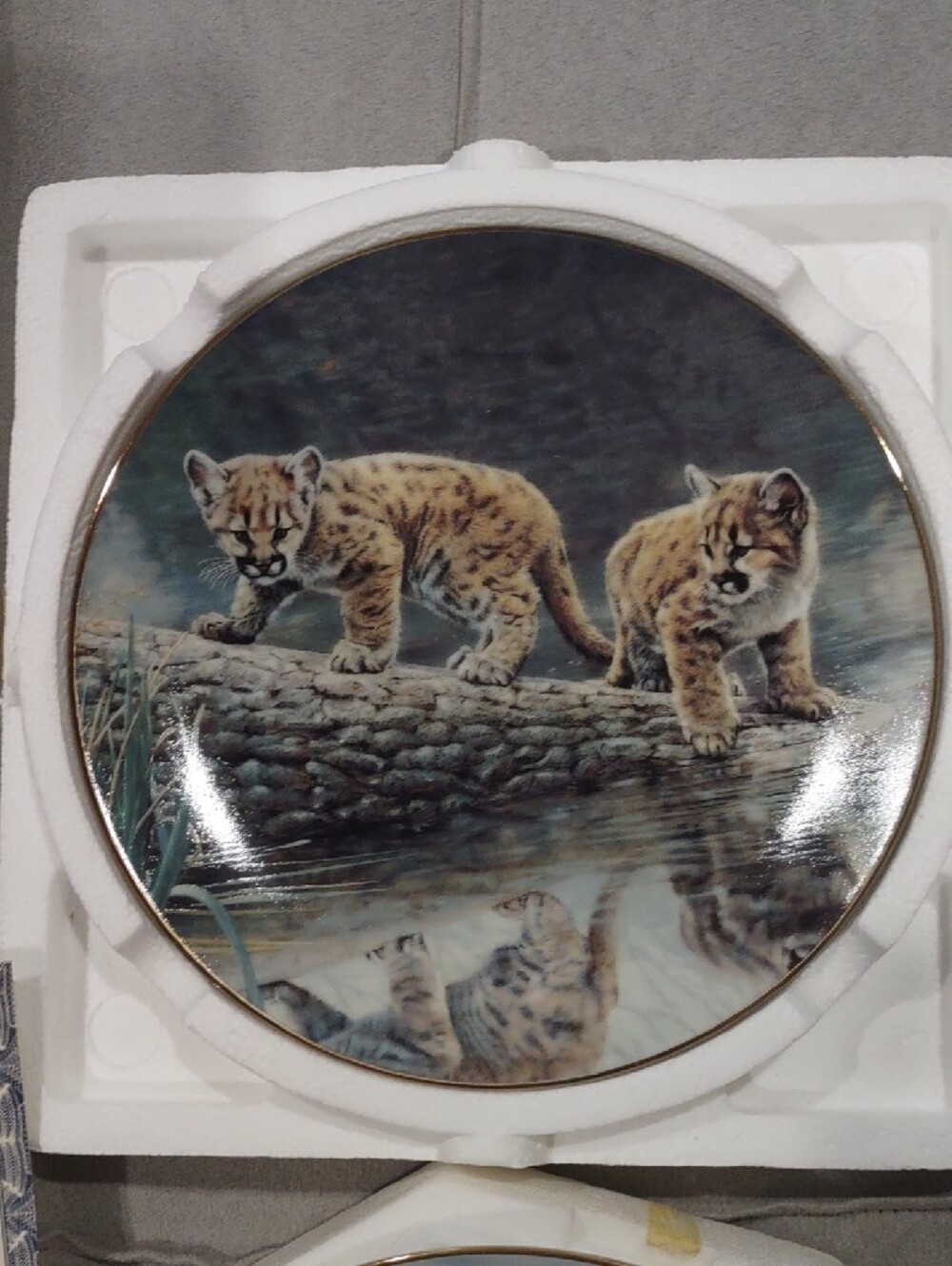 Wildlife Decorative Plates Cat Designs Charles Frace - Picture 2 of 12